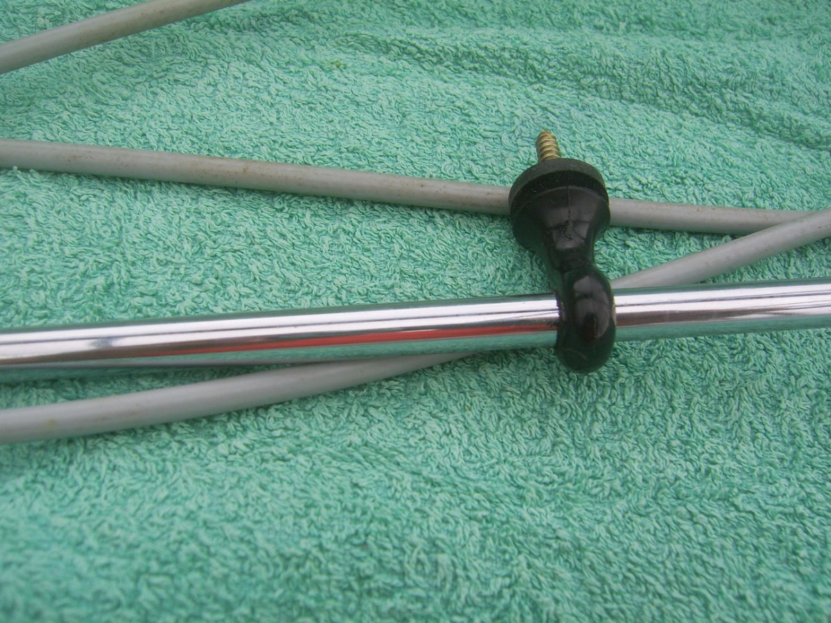 SV105693.JPG